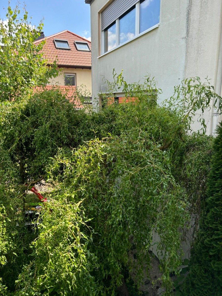 Seitenansicht Mehrfamilienhaus Kronberg im Taunus