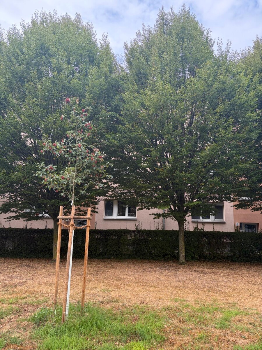 23 Etagenwohnung Frankfurt - H�chst